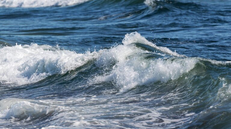 Лодка с мигрантами затонула у побережья Ливии